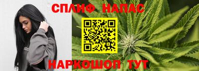 амф Новоалтайск