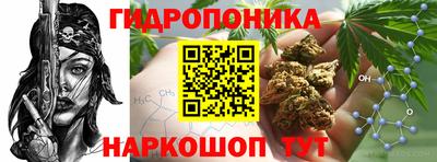 амф Новоалтайск