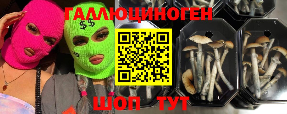 Псилоцибиновые грибы ЛСД Златоуст